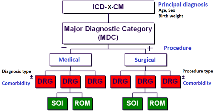 From MDC to DRG