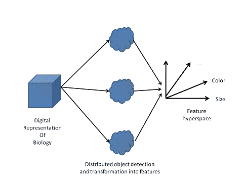 Distributed transformation of input into features