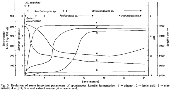 Microflora evolution in Lambic fermentation