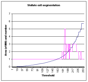 Stellate Image Graph