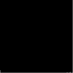 Stellate Image Histogram