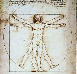 Vitruvian man