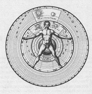 Vitruvian man